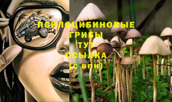 кокаин VHQ Каменногорск