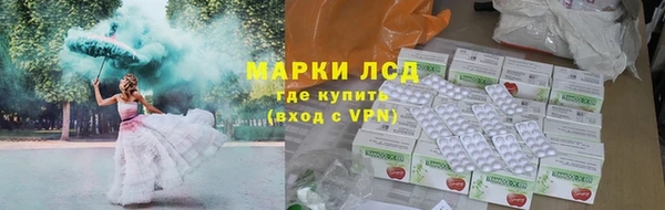 ГАЛЛЮЦИНОГЕННЫЕ ГРИБЫ Каменка