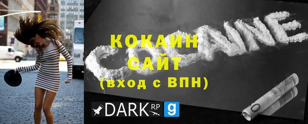 ГАЛЛЮЦИНОГЕННЫЕ ГРИБЫ Каменка