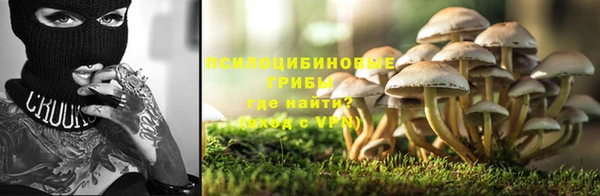 ГАЛЛЮЦИНОГЕННЫЕ ГРИБЫ Каменка