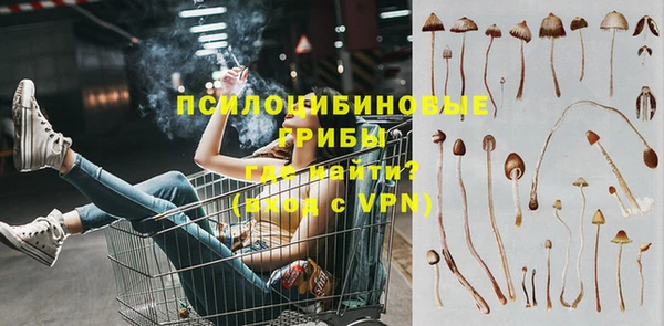 ГАЛЛЮЦИНОГЕННЫЕ ГРИБЫ Каменка