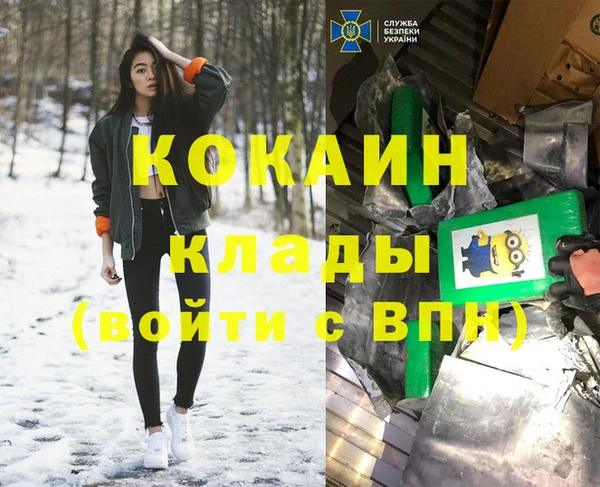 ГАЛЛЮЦИНОГЕННЫЕ ГРИБЫ Каменка