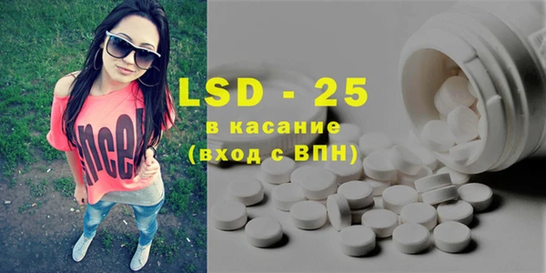ГАЛЛЮЦИНОГЕННЫЕ ГРИБЫ Каменка
